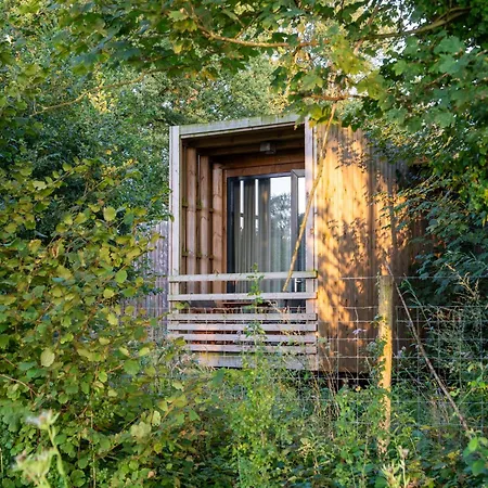 펜션 Tranquil Forest Hideaway Antoing