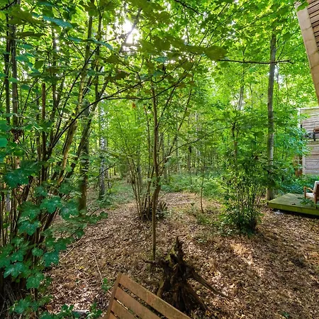 펜션 Tranquil Forest Hideaway Antoing